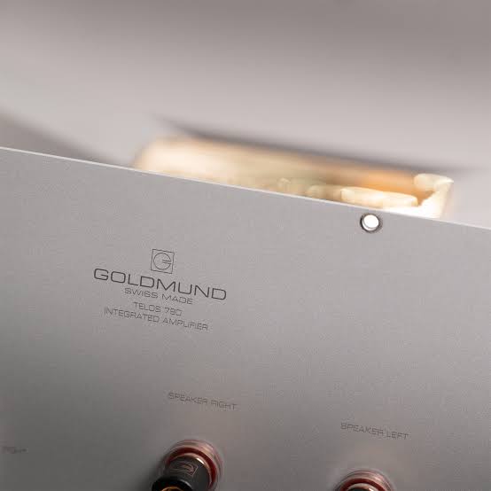 Goldmund Telos 790 Stereo Intergrated Ampli - Ảnh 3