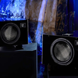 Loa subwoofer REL No.35 (Liên hệ) - Ảnh 5
