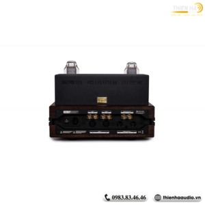 Headphone Amplifier Feliks Audio Envy Susvara Edition (Liên hệ) - Ảnh 4