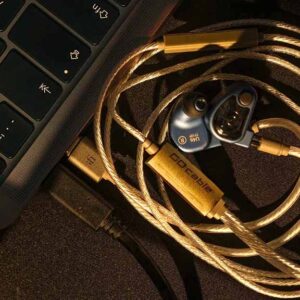 DAC/Headphone Amplifier iFi GO cable (Liên hệ) - Ảnh 5
