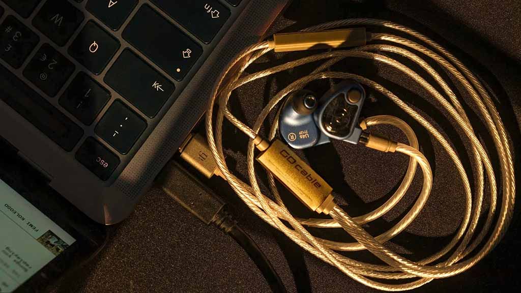 DAC/Headphone Amplifier iFi GO cable (Liên hệ) - Ảnh 5