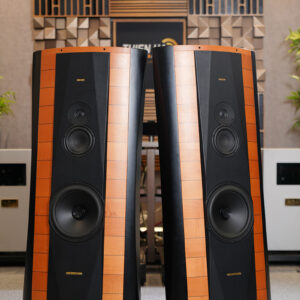 Alternative view of Loa Sonus Faber Elipsa
