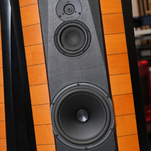 Loa Sonus Faber Elipsa - Ảnh 3