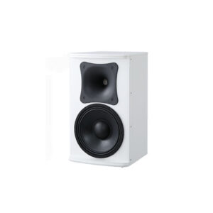 Loa A-Audio K10